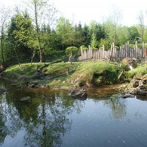 Beaver enclosure (May 2nd, 2015)