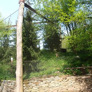 Snowy owl aviary (May 2nd, 2015)