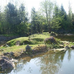 Beaver enclosure (May 2nd, 2015)