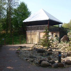 Wolverine shelter (May 2nd, 2015)