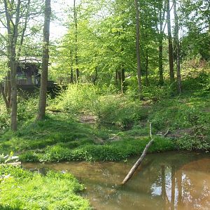 View of wolverine enclosure (May 2nd, 2015)