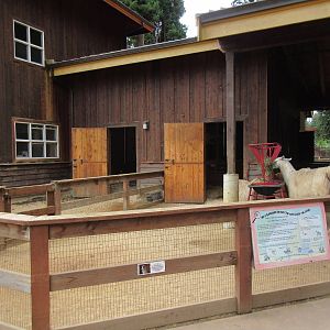 Llama/Alpaca Yard