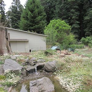 Patagonian Cavy/Crested Screamer Exhibit