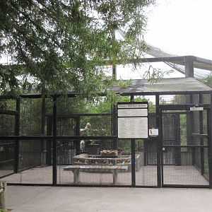 Walk-Through Aviary