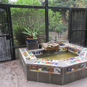 Walk-Through Aviary - Entrance Area