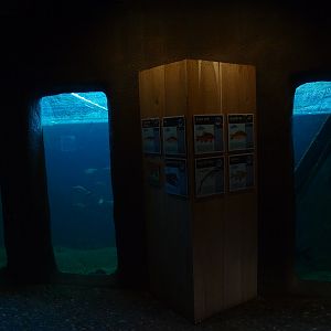 Aquarium (May 2nd, 2015)