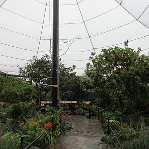 Walk-Through Aviary