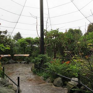 Walk-Through Aviary