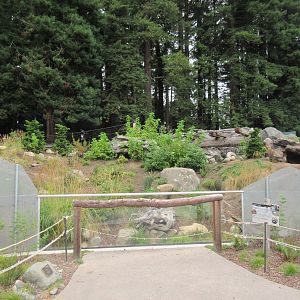 Watershed Heroes - North American River Otter Exhibit