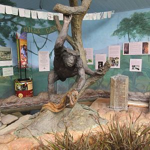 Bill the Chimpanzee Memorial (the zoo's most celebrated resident)