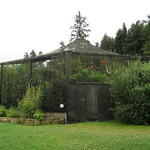 Walk-Through Aviary (rear view)