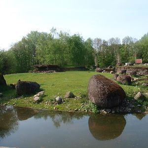 Musk ox enclosure (May 2nd, 2015)