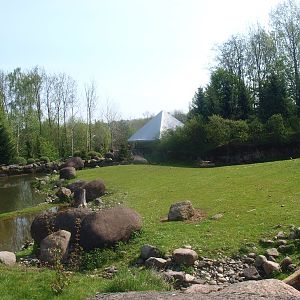 Musk ox enclosure (May 2nd, 2015)