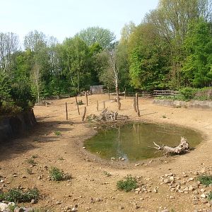 Finnish forest reindeer enclosure (May 2nd, 2015)
