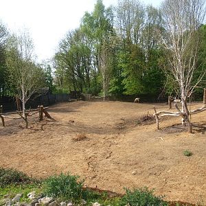 Finnish forest reindeer enclosure (May 2nd, 2015)