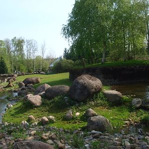 Musk ox enclosure (May 2nd, 2015)