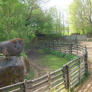 Musk ox corridor (May 2nd, 2015)