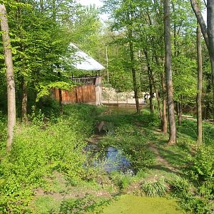 Wolverine enclosure (May 2nd, 2015)