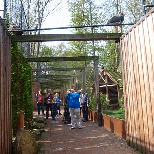 Aviary and path (May 2nd, 2015)