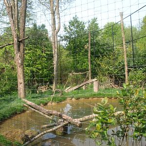 Black stork, raven and Eurasian eagle-owl aviary (May 2nd, 2015)