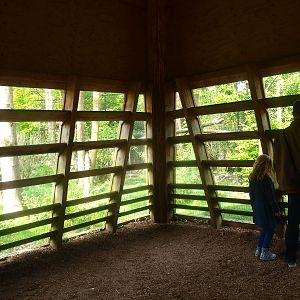 Inside of viewing hut (May 2nd, 2015)