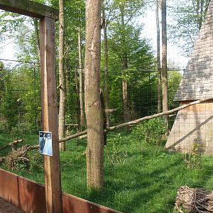 Black stork, raven and Eurasian eagle-owl aviary (May 2nd, 2015)