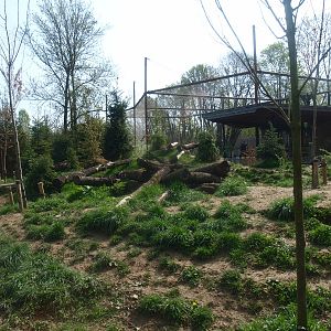 Wolf exhibit (May 2nd, 2015)