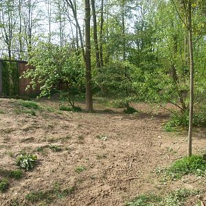 Wolf exhibit (May 2nd, 2015)