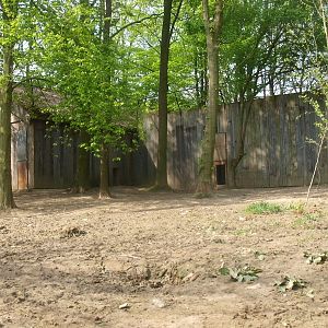 Wolf exhibit and building (May 2nd, 2015)