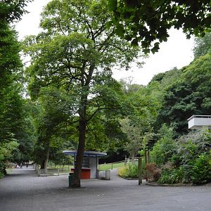 General view on lower level