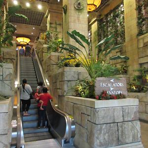 Entrance Escalator