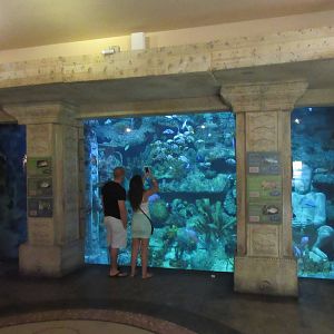 Temple-Themed Coral Reef Tank