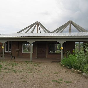 Crested Caracara/Great Horned Owl Exhibits