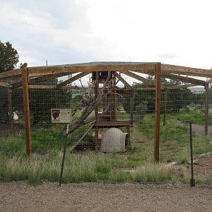 North American Porcupine Exhibit