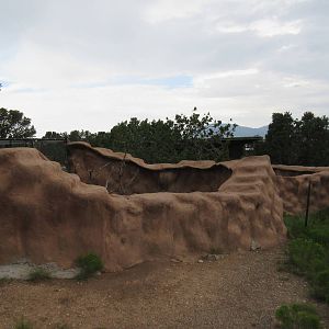 Javelina Exhibit
