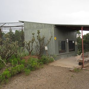 Cougar Exhibit (currently empty)