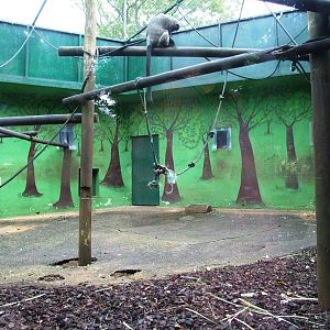 Monkey Enclosures at Santillana del Mar, 13/06/15