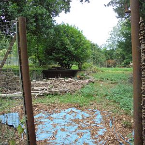 Former Red-Crowned Crane enclosure 2015.