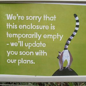 We are sorry again!! 2015.