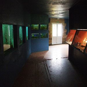 Aquarium-Terrarium Interior at Santillana del Mar, 13/06/15