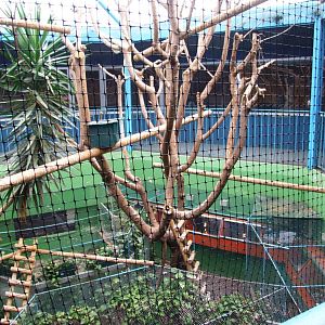 Terrarium Interior at Santillana del Mar, 13/06/15
