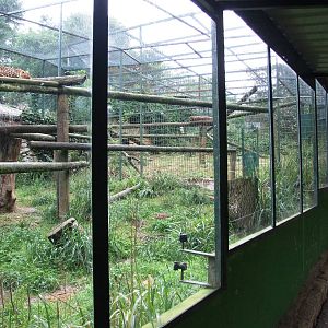 Leopard Enclosures at Santillana del Mar, 13/06/15