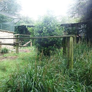Snow Leopard Enclosure at Santillana del Mar, 13/06/15