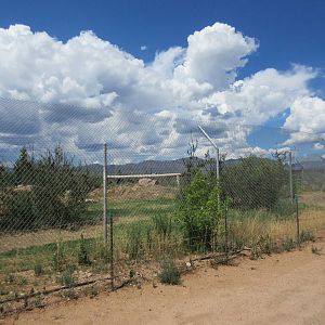 Bengal Tiger Exhibit (one of many enclosures for tigers)