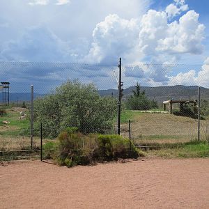 Bengal Tiger Exhibit