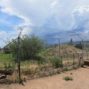Bengal Tiger Exhibit