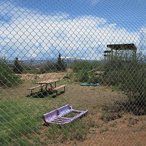 Grizzly Bear Exhibit