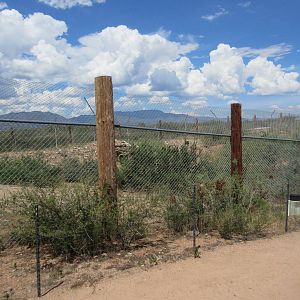 Bengal Tiger Exhibit