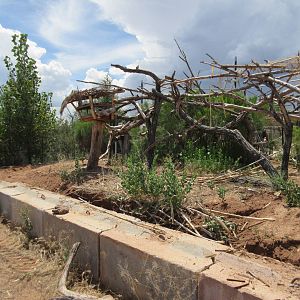 Future Outdoor Reptile Exhibit