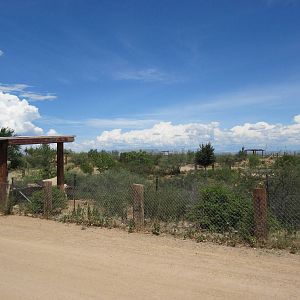 Capybara/Patagonian Cavy/African Spurred Tortoise Exhibit